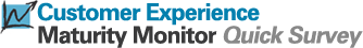 Customer Experience Maturity Monitor